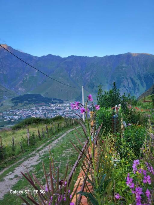 Peak House Villa Kazbegi Exterior foto